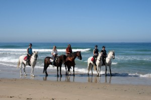 Strandritt-Tarifa-2016-41