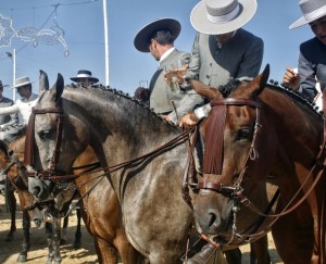 Reiten-lernen-in-Tarifa-2016-04